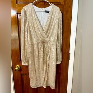 Beautiful sequinned Lane Bryant dress size 16